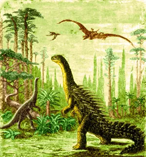 Extinction: Stegosaurus and Compsognathus Dinosaurs