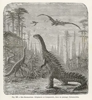 Compsognathus: Stegosaurus and Compsognathus in Forest
