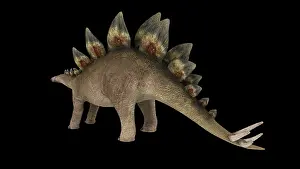 Kimmeridgian: Stegosaurus dinosaur