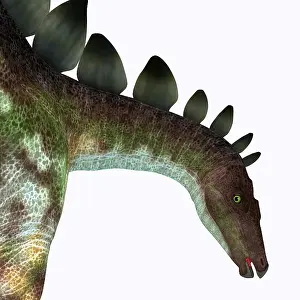 Stegosaurus: Stegosaurus dinosaur head