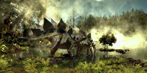 Shallow: Stegosaurus dinosaurs drinking water from a marsh