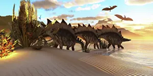 Seashore: Stegosaurus dinosaurs graze among the vegetation by a lake ?