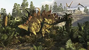 Fern: A Stegosaurus hanging out