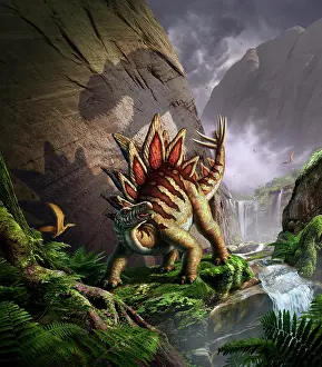 Stegosaurus: A Stegosaurus is surprised by an Allosaurus while feeding ?