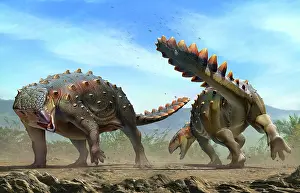 Threat: Two Stegouros elengassen dinosaurs fighting