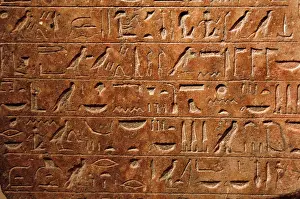 Deity: Stele with a hymn to Amun. Detail of hieroglyphic writing. E