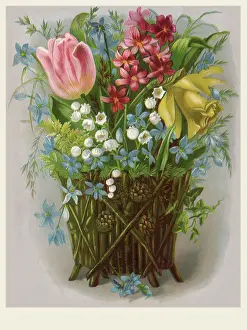 Daffodil: Stem Basket Bouquet