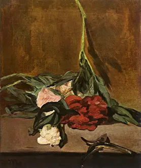 Secateurs: Stems of Peonies and Secateurs, by Manet