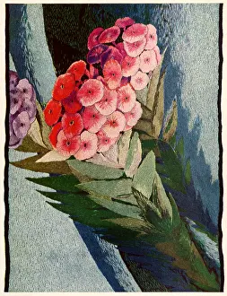 Sprays: Three Stems of Phlox