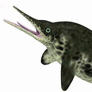Snout: Stenopterygius aquatic reptile portrait