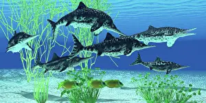 Caudal: Stenopterygius is an extinct icthyosaur from the Jurassic ?