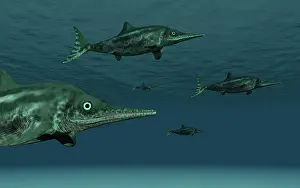 Ichthyosaur: Stenopterygius ichthyosaurs swimming underwater
