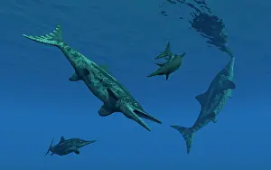 Ichthyosaur: Stenopterygius ichthyosaurs swimming underwater