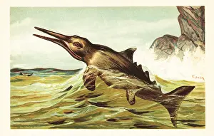 Ichthyosaurus: Stenopterygius quadriscissus, extinct ichthyosaur