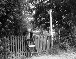 Dedham: STEP-LADDER STILE