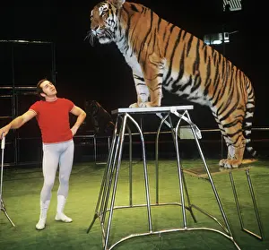 Tamer: Stepan Denisov with tiger, 1974