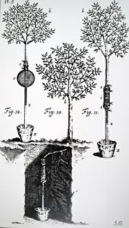 Rises: Stephen Hales (1677-1761); experiments to determine