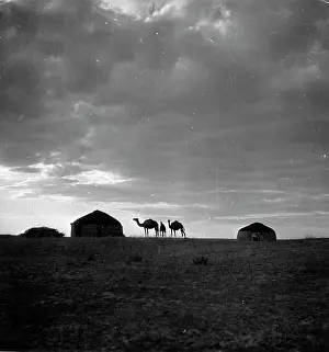 Sunrises: In the steppe