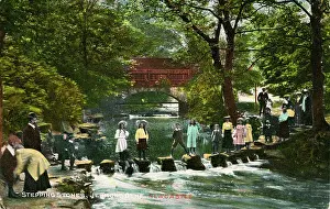 Dene: Stepping Stones, Jesmond Dene, County Durham