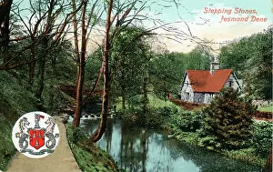 Dene: Stepping Stones, Jesmond Dene, County Durham
