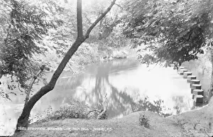 Pathway: Stepping Stones Near Box Hill