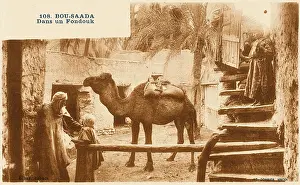 Saada: The steps leading down to a Fondouk at Bousaada, Algeria