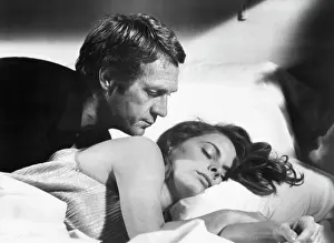 Harrold: Steve Mcqueen - Kathryn Harrold - Actor - Actress