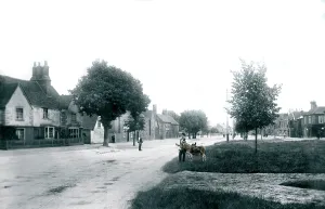 Stevenage: Stevenage, High Street 1903