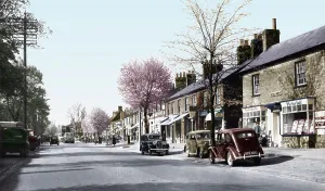 Stevenage: Stevenage, High Street c1950