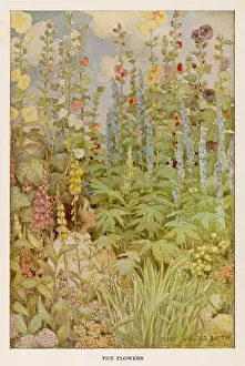 Garters: STEVENSON/POEMS/FLOWERS