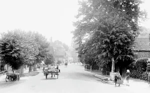 Steyning: Steyning, High Street 1914