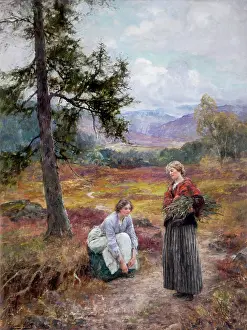 Yeend: Stick Gatherers