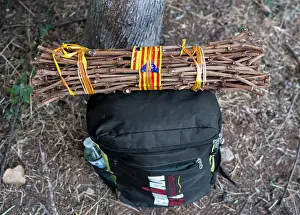Sant: Sticks, Trobada del Canigo, Canigo, Pyrenees-Orientales
