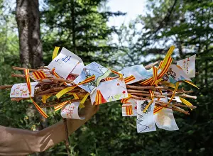 Sant: Sticks, Trobada del Canigo, Canigo, Pyrenees-Orientales
