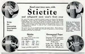 Nasty: Stictite Advertisement