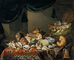 Provincia: Still-life with shells, painted by
