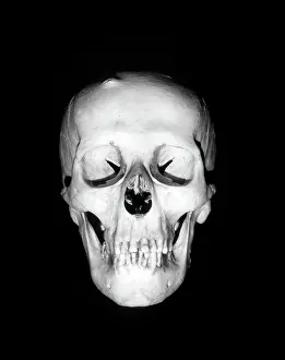 Gloom: Still-Life Of Skull Floating In