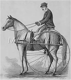 Sulky: STILLMAN'S VELO-SULKY