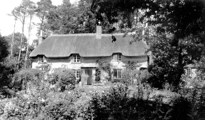 Stinsford: Stinsford, Thomas Hardy's Birthplace c1955