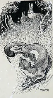Stoat: Stoat and Rabbits