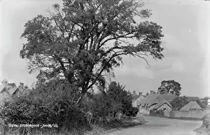 Cottages: Stoborough Village Scene