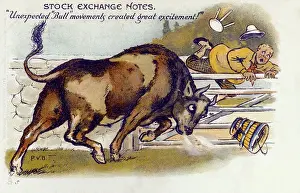 Venner: Stock Exchange Notes (2/4) - Bull Market