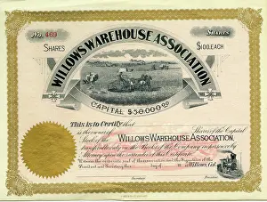 Blank: Stock Share Certificate - Willows Warehouse Association