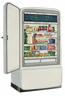 Refrigerator: Stocked Refrigerator
