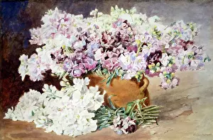 Cruickshank: Stocks in an earthenware pitcher