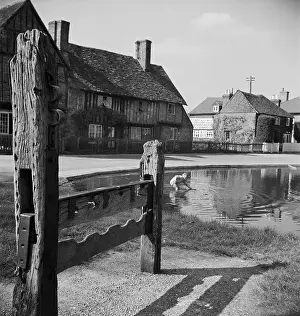 Infill: Stocks And Pond
