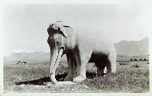Dynastic: Stone Elephant, Ming Tombs, Beijing