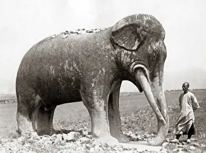 Tombs: Stone elephant, Ming Tombs, China, circa 1890