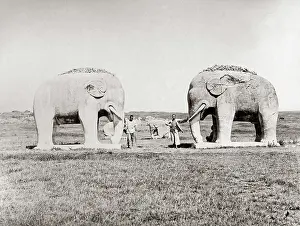 Nanjing: Stone Elephants, Ming tombs, Nanjing, China, c.1890