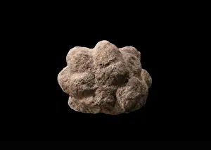 Brae: Stone object, Visitor Centre Museum, Skara Brae, Mainland